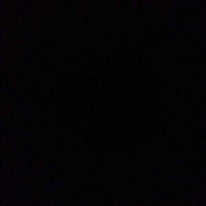 Meet your Posher, Sammy