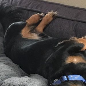 Meet your Posher, Ruben