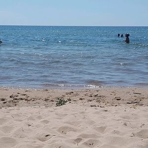 Meet your Posher, Taryn