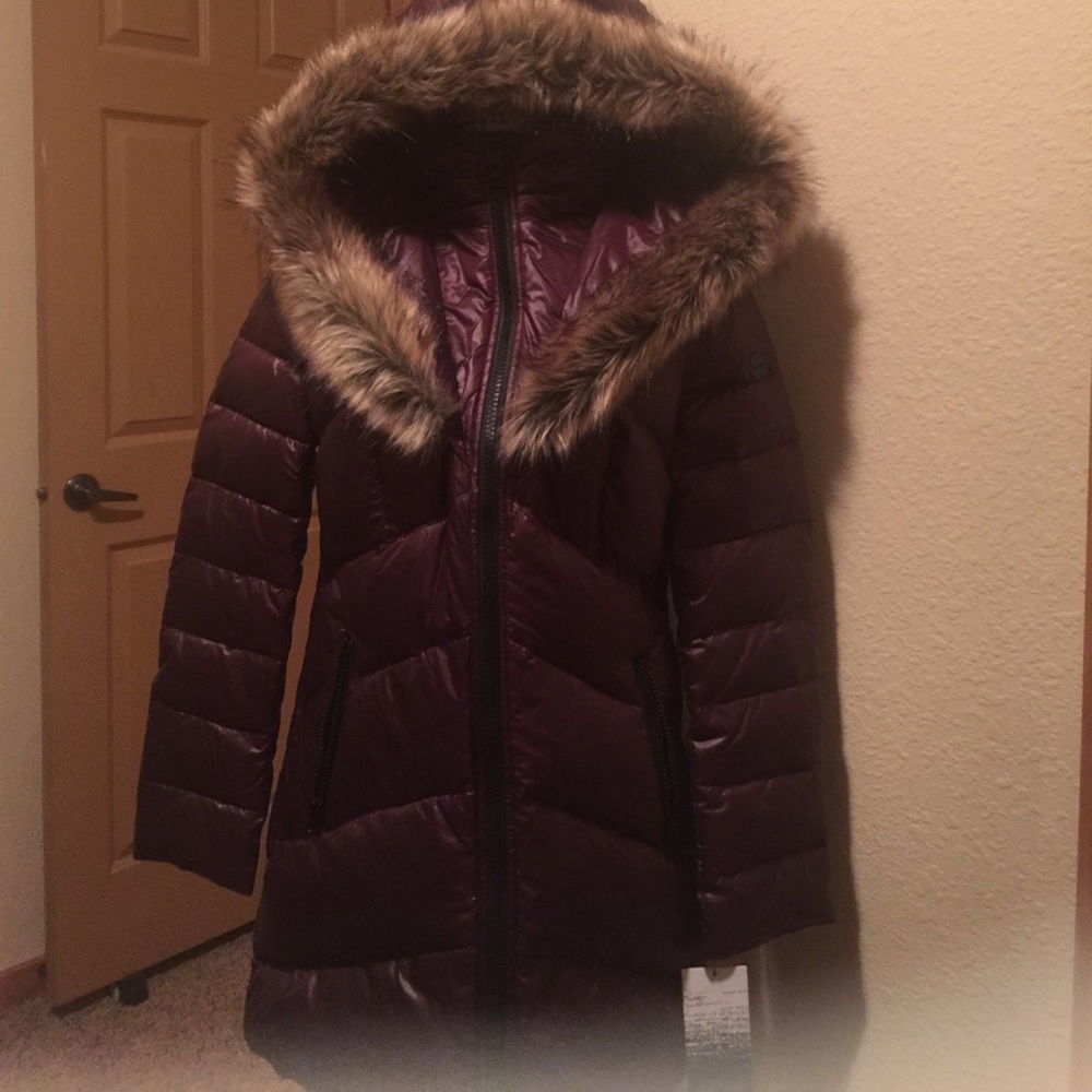 Jacket - Picture 2 of 4
