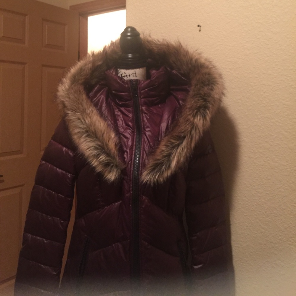 Jacket - Picture 3 of 4