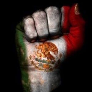 Meet your Posher, Jorge