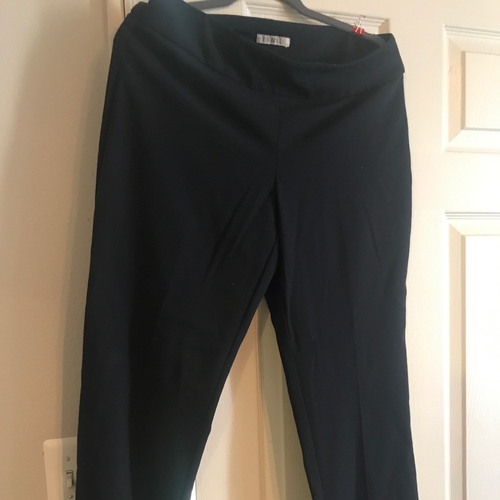 Dress pants