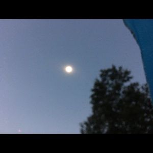 Meet your Posher, Clara