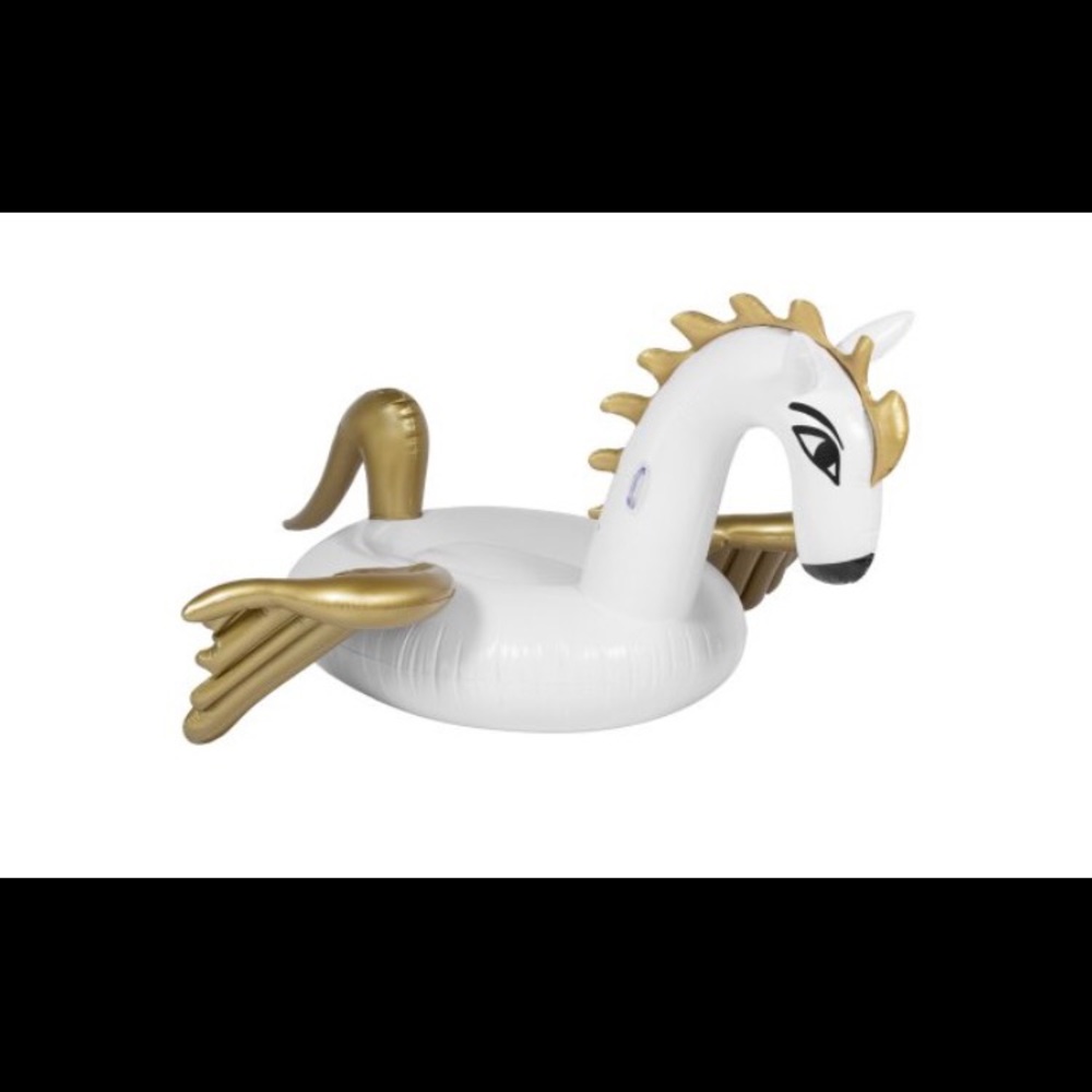 Giant Pegasus pool float!