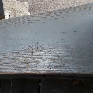 Meet your Posher, Ty