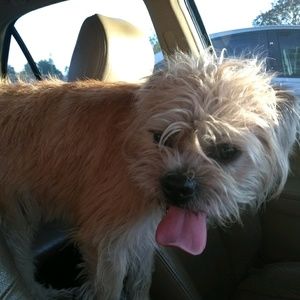 Meet your Posher, Andrea