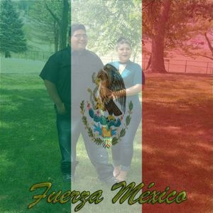 Meet your Posher, Armida