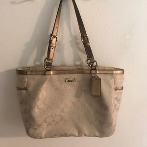 Bronze and Cream Coach