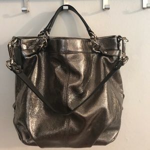 Silver Metallic Coach