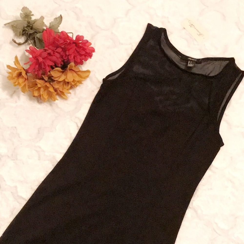 Sheer Top Bodycon Mini Dress