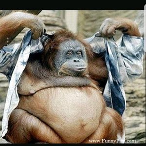 Meet your Posher, Rudy