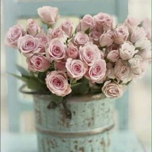 Meet your Posher, Ivonne