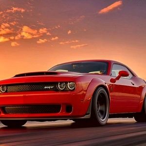 Meet your Posher, Jerry