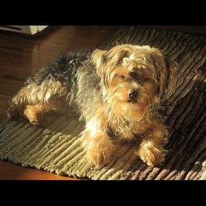 Meet your Posher, Sandra