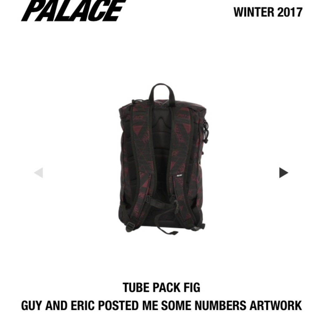 PALACE TUBE BACKPACK - Picture 3 of 3