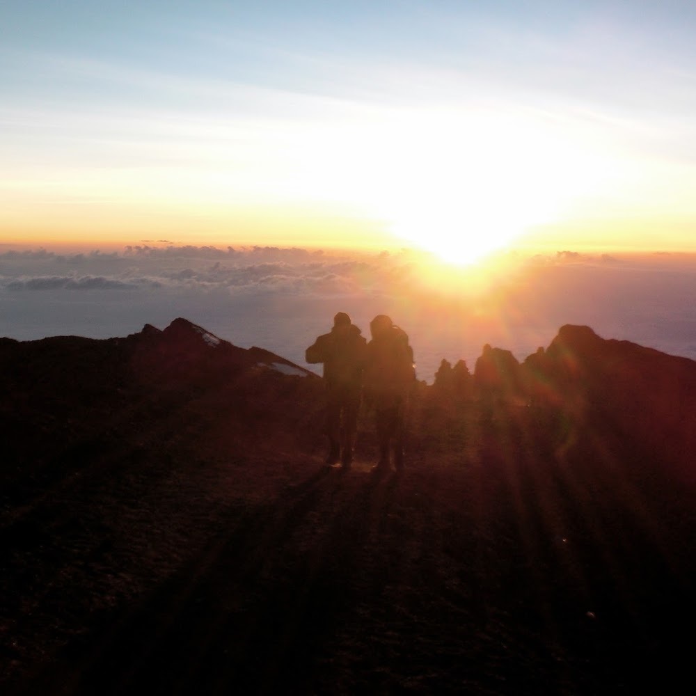 Meet your Posher, Leanne