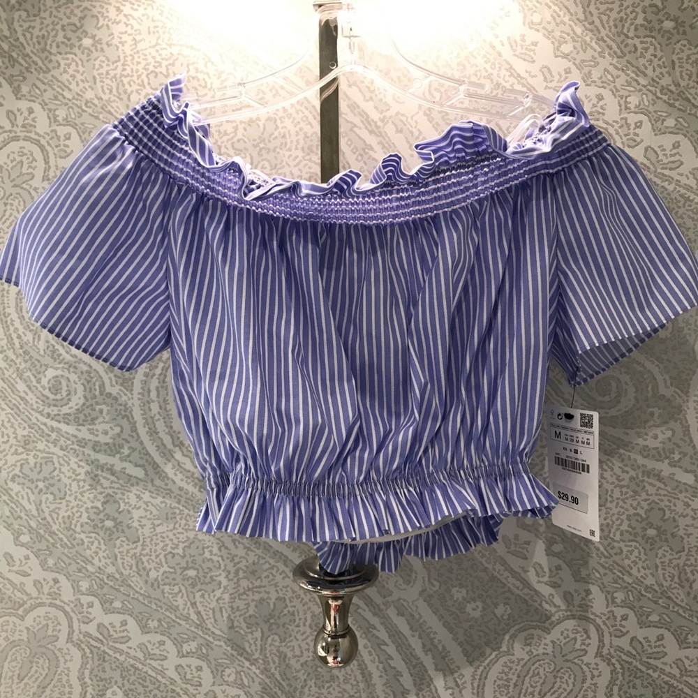 Zara Crop Top NWT
