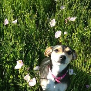 Meet your Posher, Beth