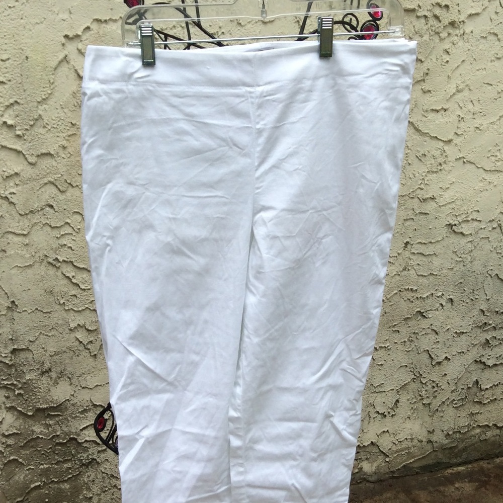 Talbots Pants