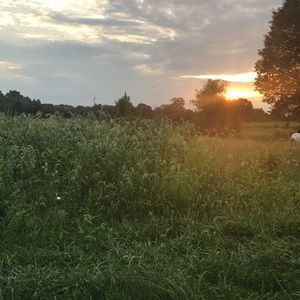 Meet your Posher, Denise