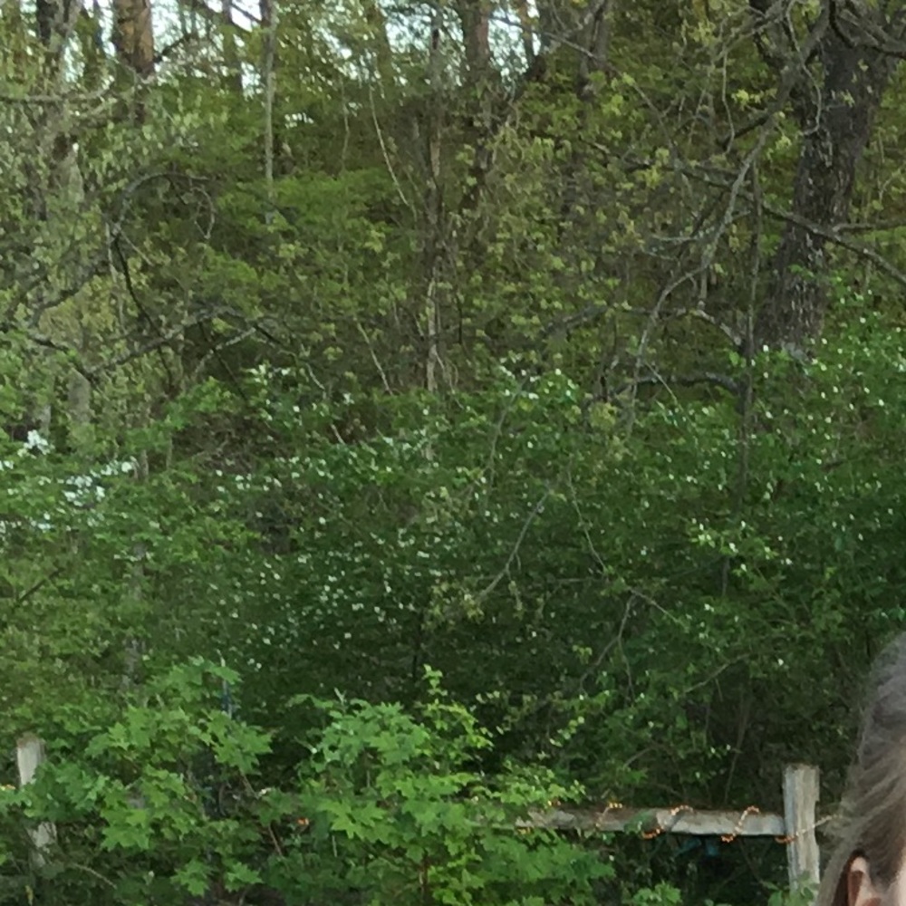 Meet your Posher, Abbey