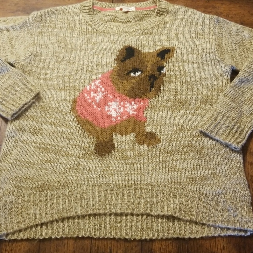 Dog sweater