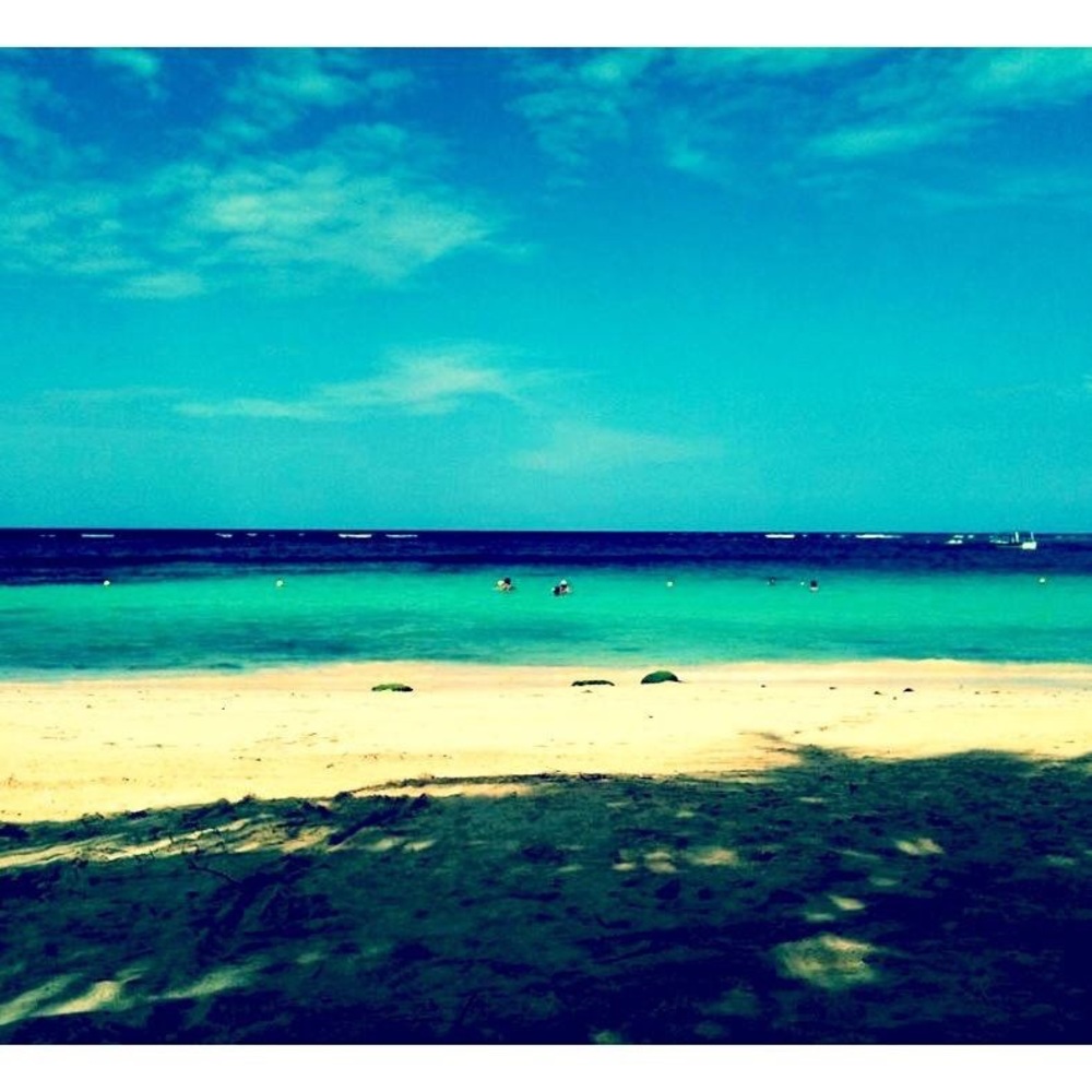 Meet your Posher, Daniela