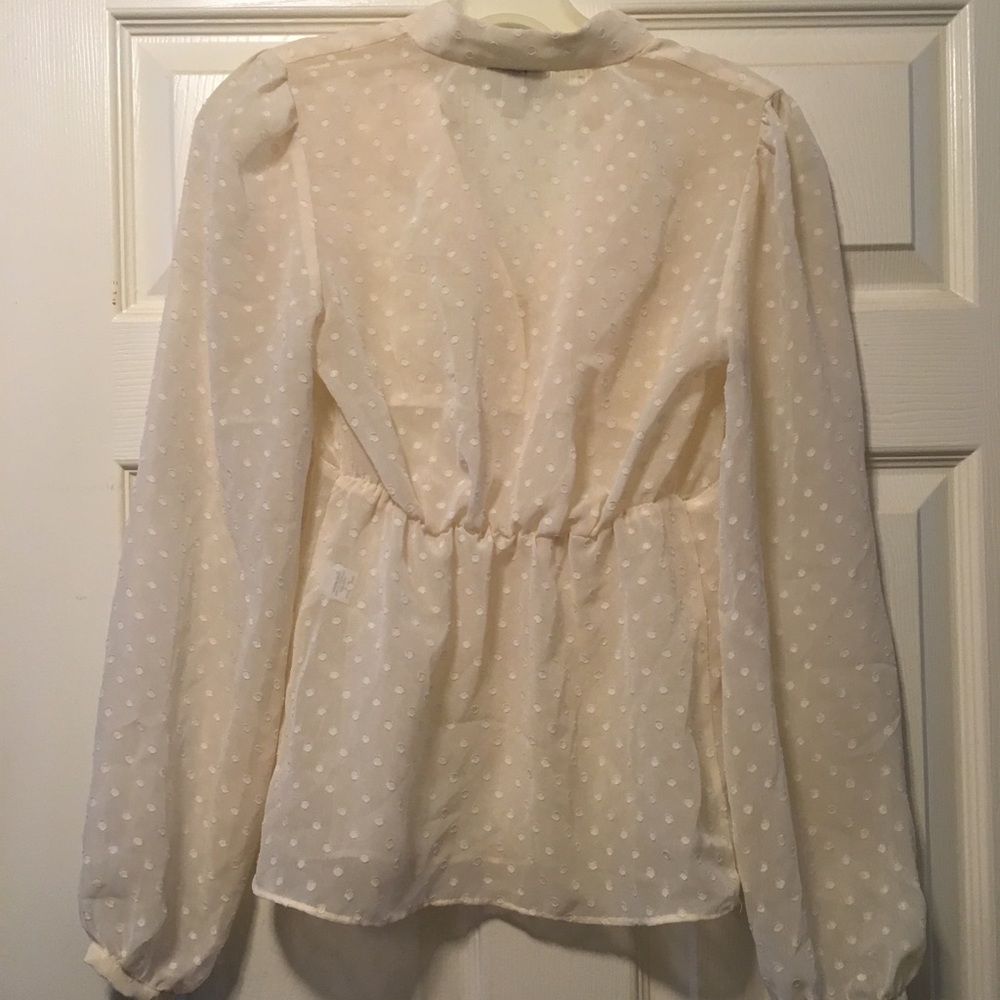 Alice Temperly Sheer Blouse