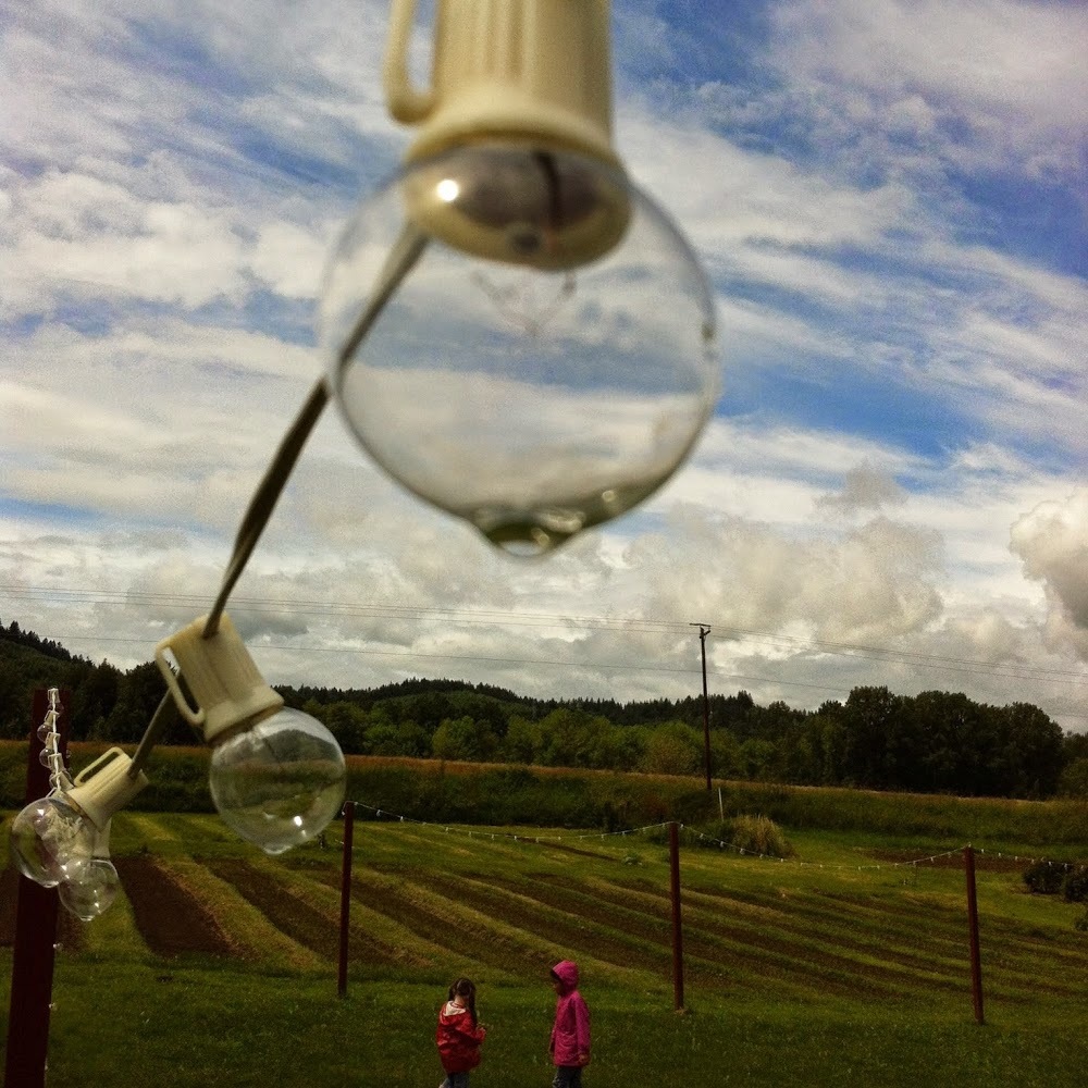 Meet your Posher, Constance