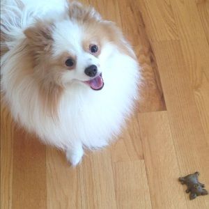 Meet your Posher, Jackie