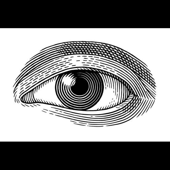 Meet your Posher, Joey - Picture 1 of 1