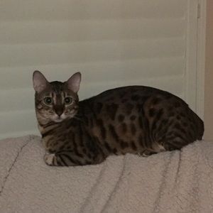 Meet your Posher, Crystal