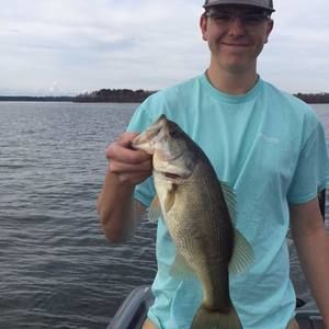 Meet your Posher, Blake