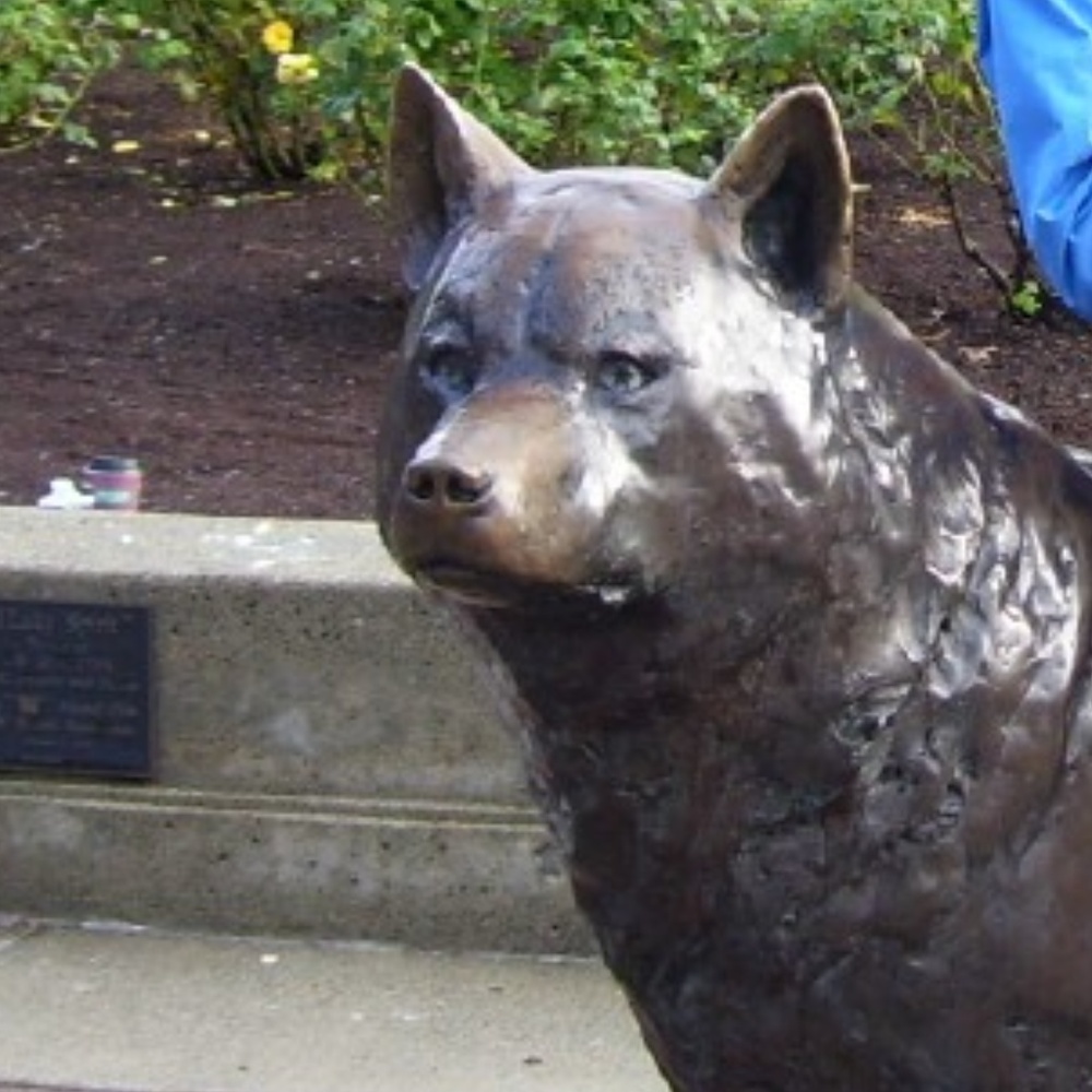 Meet your Posher, Holly