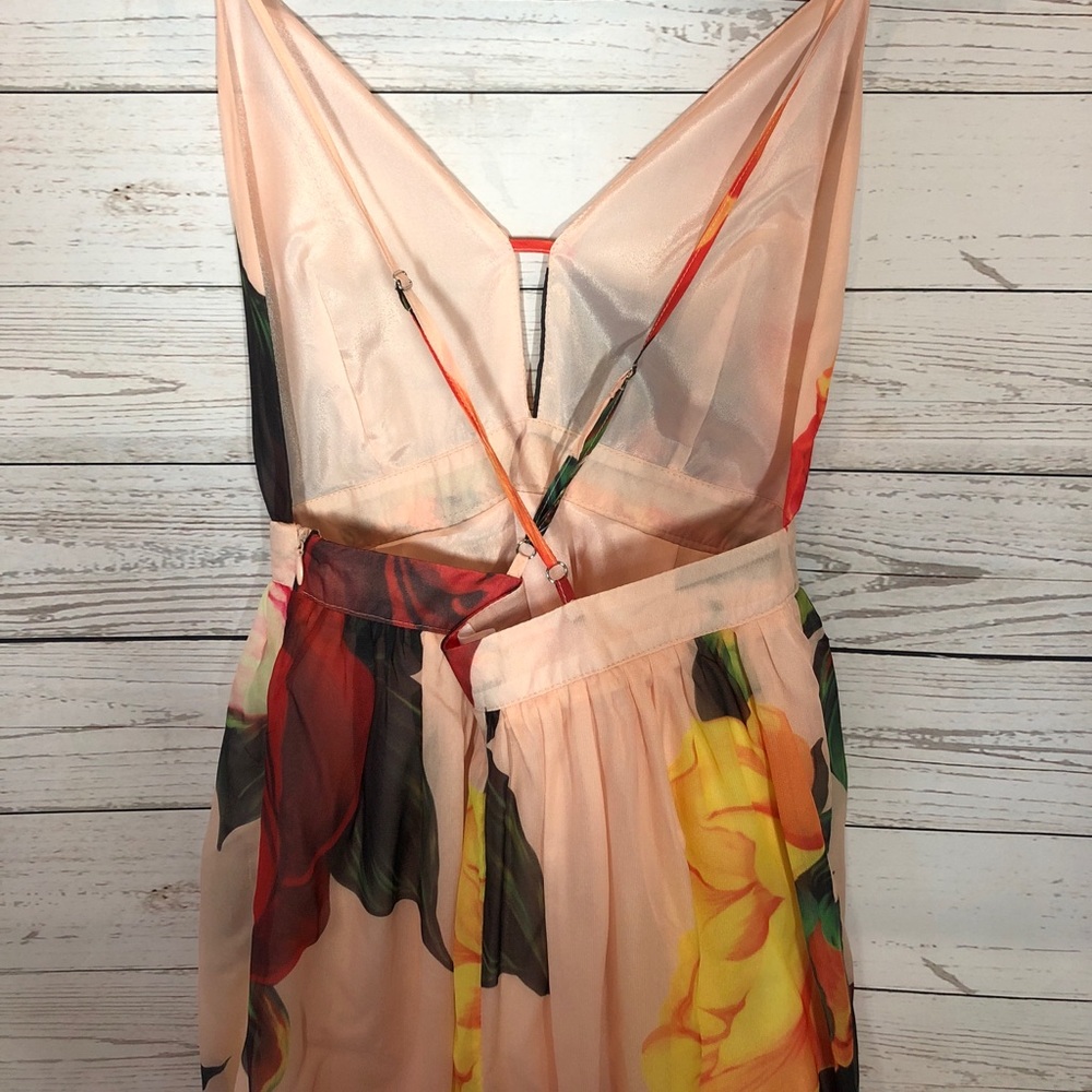 Sheer Overlay Rose Dress - Picture 4 of 6