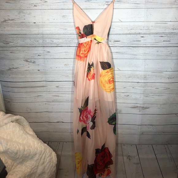 Sheer Overlay Rose Dress - Picture 2 of 6