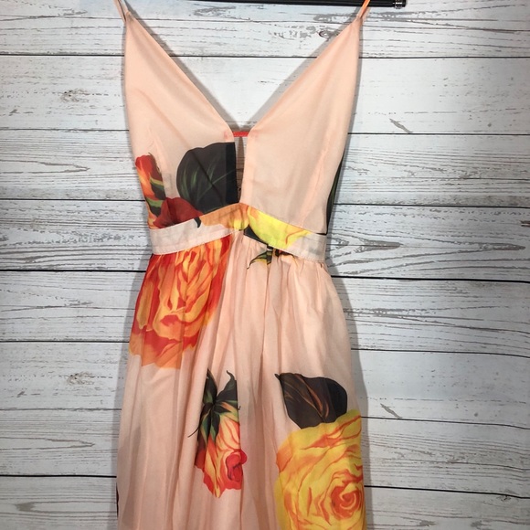 Sheer Overlay Rose Dress - Picture 3 of 6