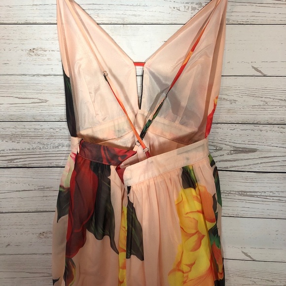 Sheer Overlay Rose Dress - Picture 4 of 6