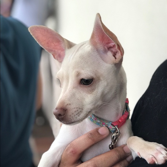 Meet your Posher, Harold - Picture 1 of 1