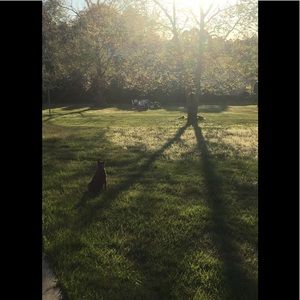 Meet your Posher, Jared