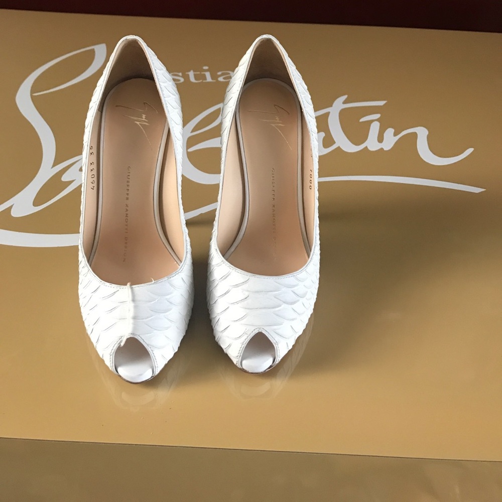 Giuseppe zanotti
