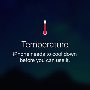 Meet your Posher, Devin