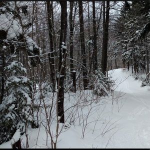 Meet your Posher, Ricky