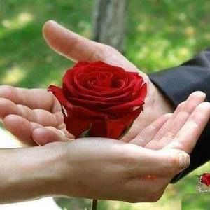 Meet your Posher, Angelo