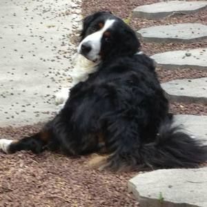 Meet your Posher, Suzanne