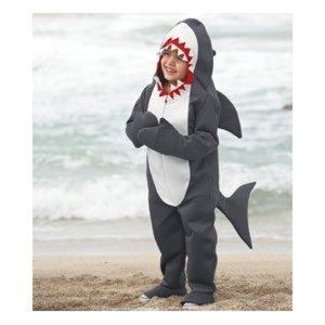Boys shark costume with converse shark shoes