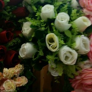 Meet your Posher, Martha