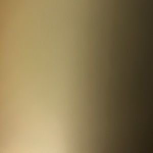 Meet your Posher, Victor