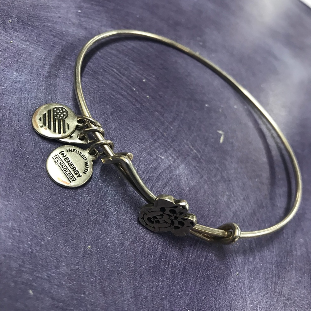 Minnie Mouse alex and Ani